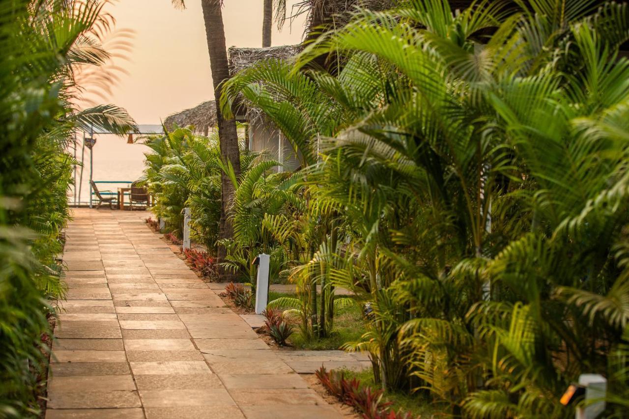 Agonda Shell Beach Resort カナコナ エクステリア 写真