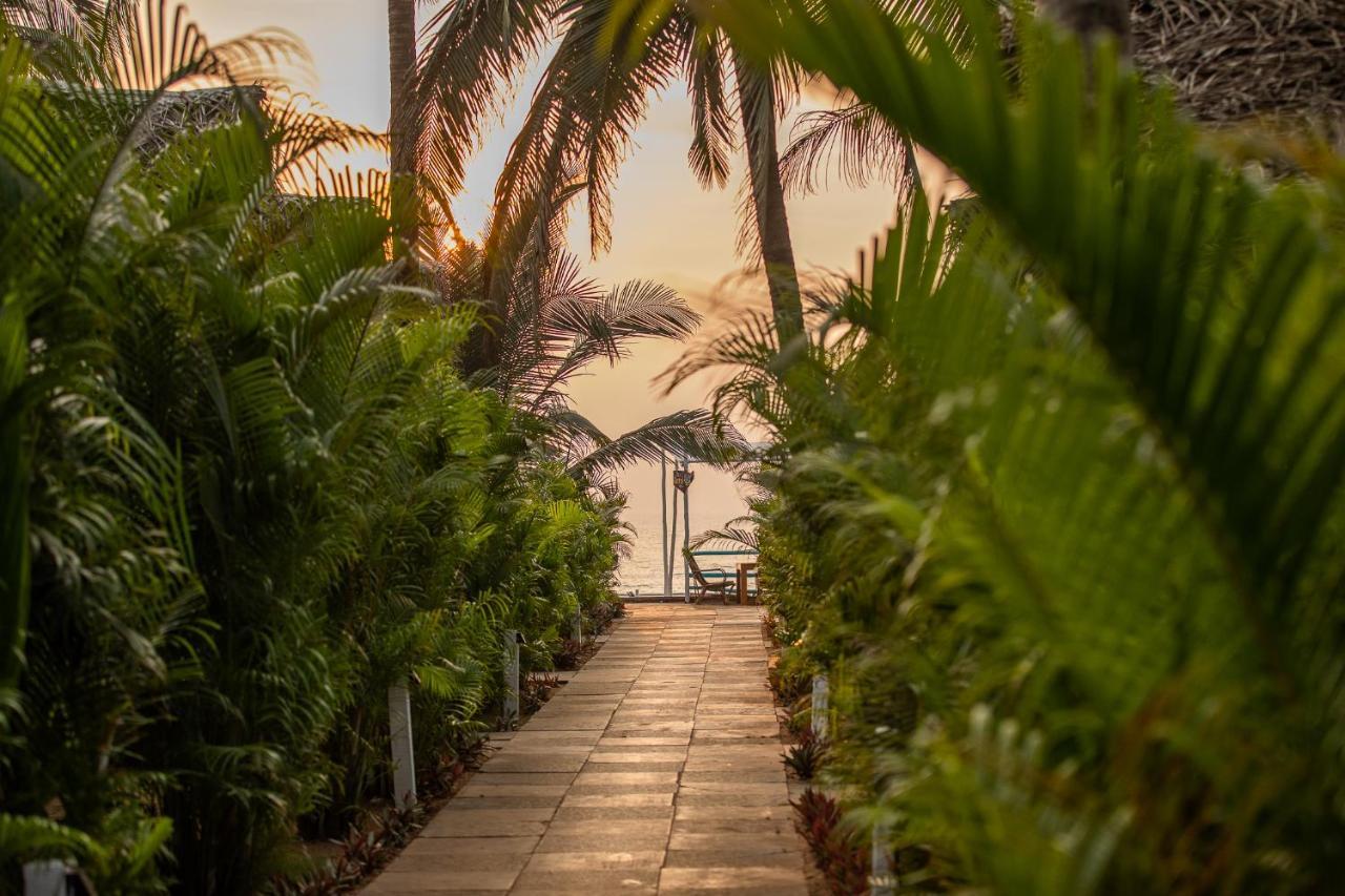 Agonda Shell Beach Resort カナコナ エクステリア 写真